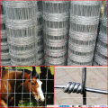 Grassland Fence & Animal Fence Net & Cattle Fence